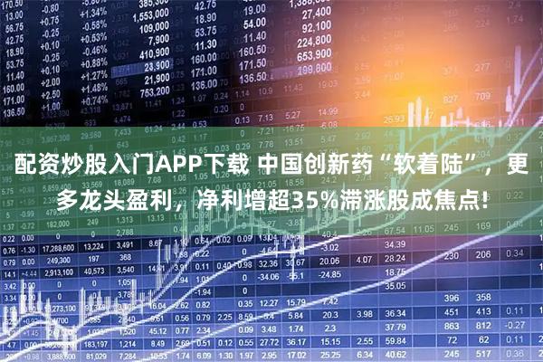 配资炒股入门APP下载 中国创新药“软着陆”，更多龙头盈利，净利增超35%滞涨股成焦点!